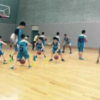 浦东新区少儿篮球培训周末班招生