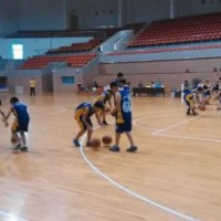 大东区小学生篮球培训短期班招生