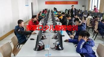 张家口少儿编程培训