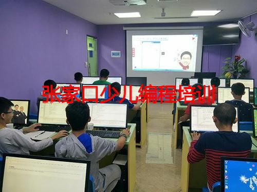 张家口少儿编程培训