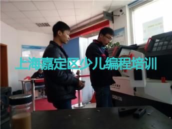 上海嘉定区少儿编程培训 上海嘉定区少儿编程培训