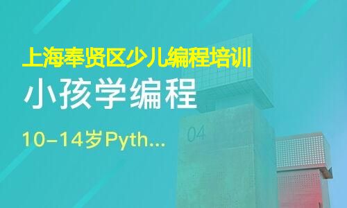 上海奉贤区少儿编程培训 上海奉贤区少儿编程培训