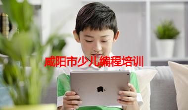 咸阳市少儿编程培训 咸阳市少儿编程培训