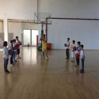 普陀区青少年篮球训练班