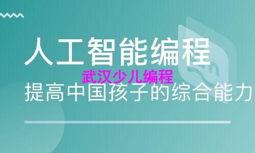 武汉少儿编程