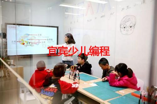 宜宾少儿编程 宜宾少儿编程