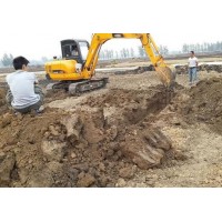 饶平县考挖掘机驾驶证综合班