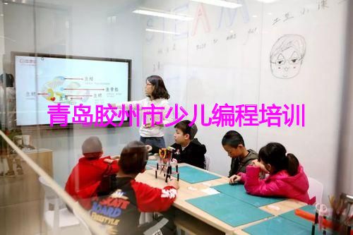 青岛胶州市少儿编程培训 青岛胶州市少儿编程培训