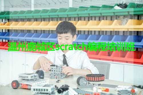 温州鹿城区scratch编程培训班 温州鹿城区scratch编程培训班