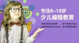 娃娃编程
