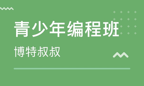 信息学奥赛编程