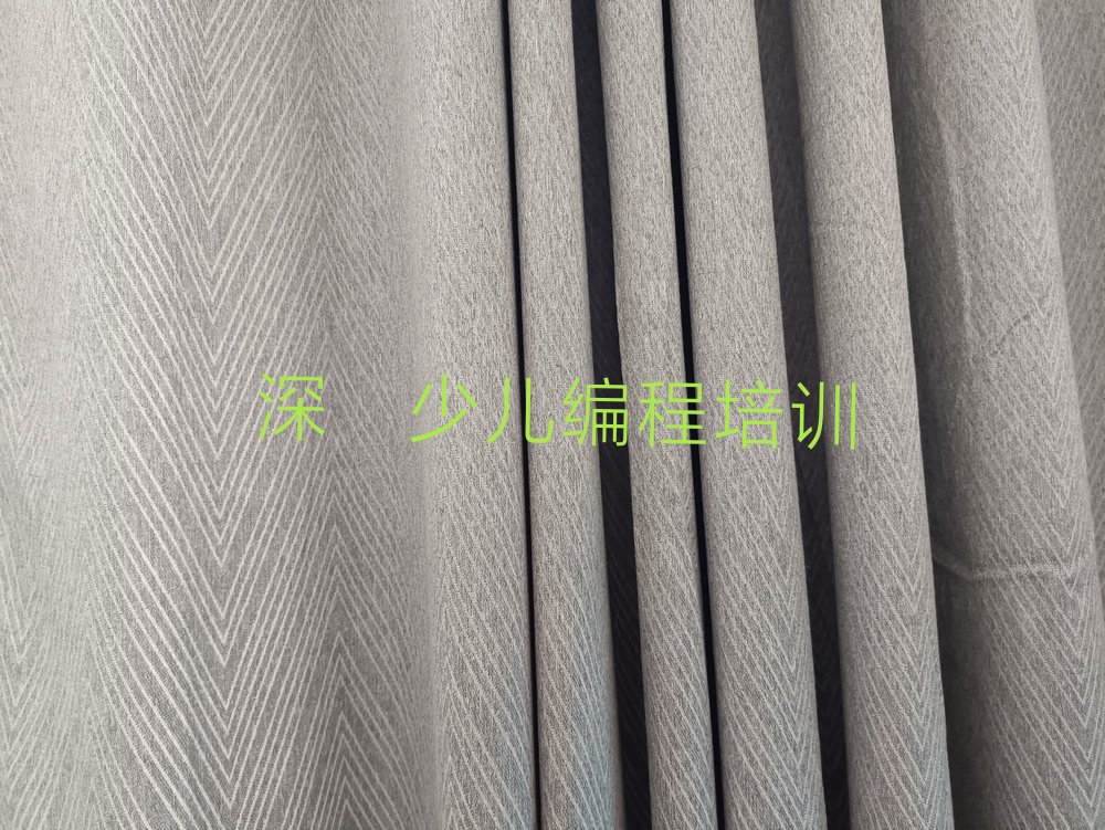 深圳少儿编程培训学校