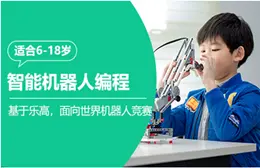 上海大团镇童程童美中学高阶硬件编程短期培训班