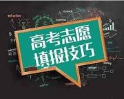 信阳平桥区志愿填报加强班