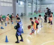 青岛李沧区专业青少年篮球培训