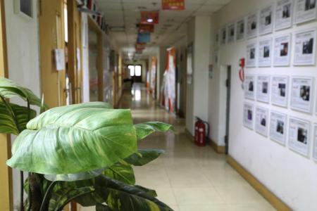 济南排行榜澳大利亚留学中介排名前十