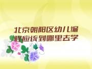 北京朝阳区幼儿编程应该到哪里去学