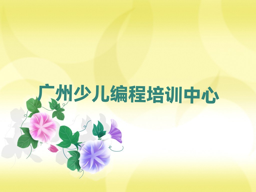 广州少儿编程培训中心