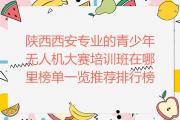 陕西西安专业的青少年无人机大赛培训班在哪里榜单一览推荐排行榜