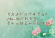 北京通州区学中学生Python编程到哪里学十大排名一览排行榜