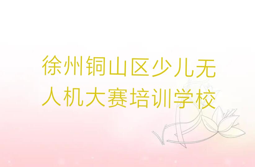 徐州铜山区少儿无人机大赛培训学校