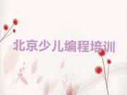 北京东城区报娃娃编程培训班要注意什么细节问题十强排名榜一览表