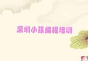 深圳市龙岗区正规小孩编程班