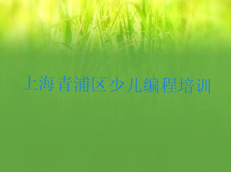 上海青浦区少儿编程培训