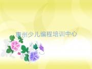 惠州惠阳区noip培训班一般学费多少钱一年