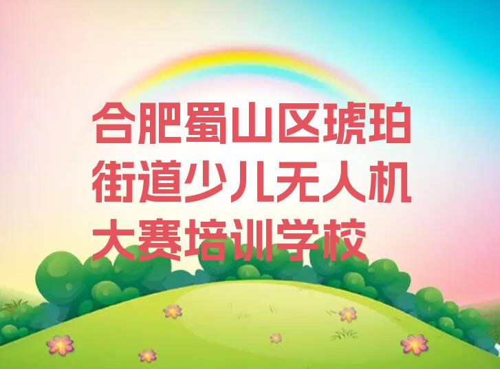 合肥蜀山区琥珀街道少儿无人机大赛培训学校