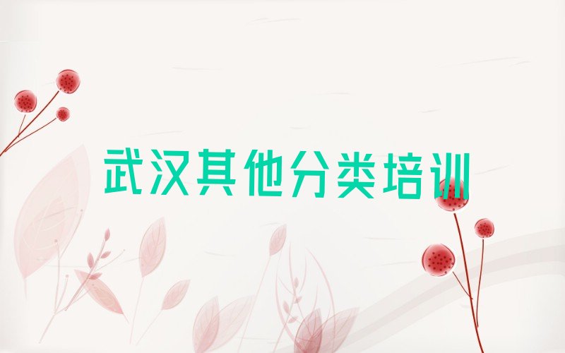 武汉汉阳区少儿无人机大赛培训学校