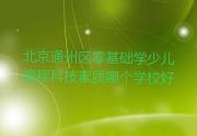 北京通州区零基础学少儿编程科技素质哪个学校好
