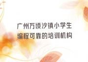 广州万顷沙镇小学生编程可靠的培训机构