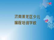 济南莱芜区学中学高阶硬件编程比较好的学校