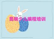 昆明排名前十的权威c语言少儿编程机构推荐