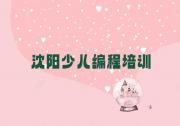 沈阳辽中区学少儿编程在哪学