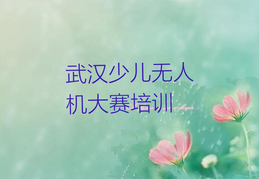 武汉少儿无人机大赛培训学校