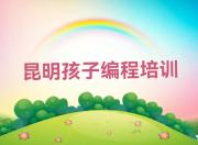 2024年如何学孩子编程十大排名一览排行榜
