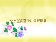 北京延庆区人工智能编程比较好的人工智能编程培训班