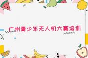 广州榄核镇靠谱的青少年无人机大赛培训机构-广州南沙区童程童美青少年无人机大赛零基础班人气排行榜一览表
