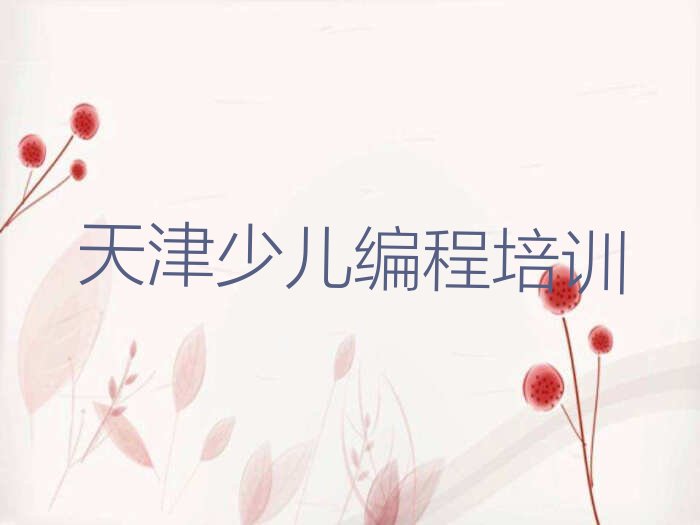天津宁河区少儿编程培训班