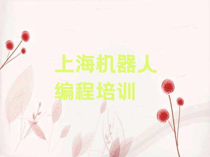 上海少儿编程培训班