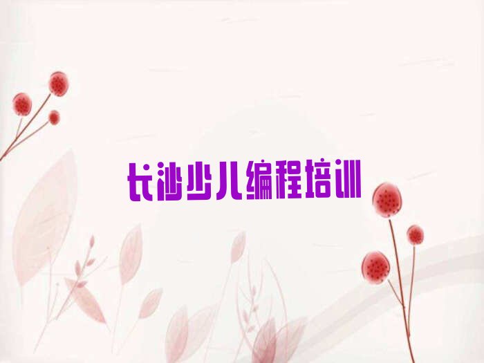 长沙少儿编程培训学校