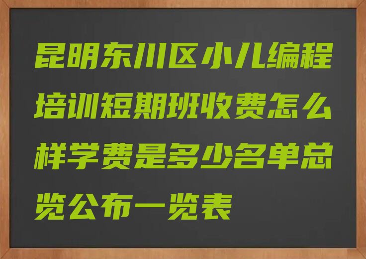 昆明东川区少儿编程培训班