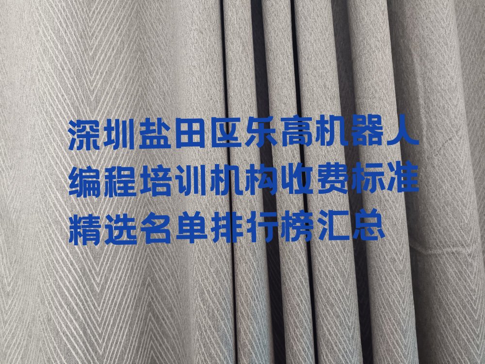 深圳盐田区少儿编程培训班