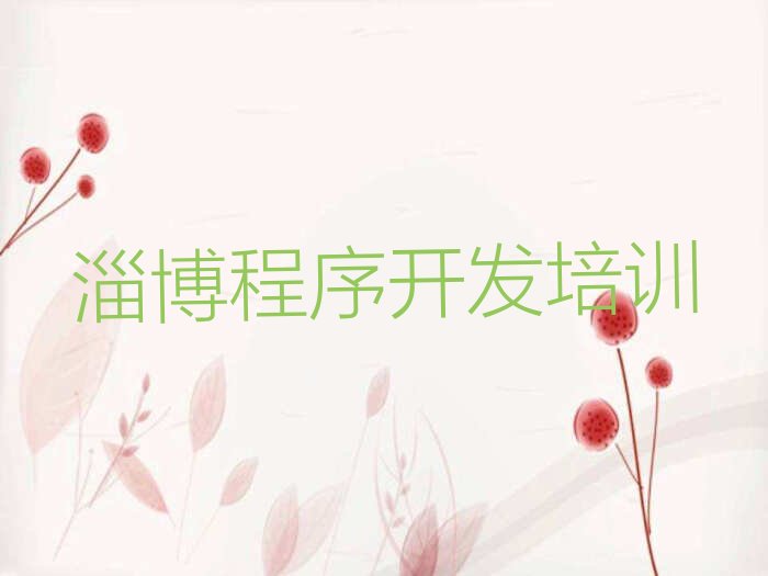淄博少儿编程培训学校