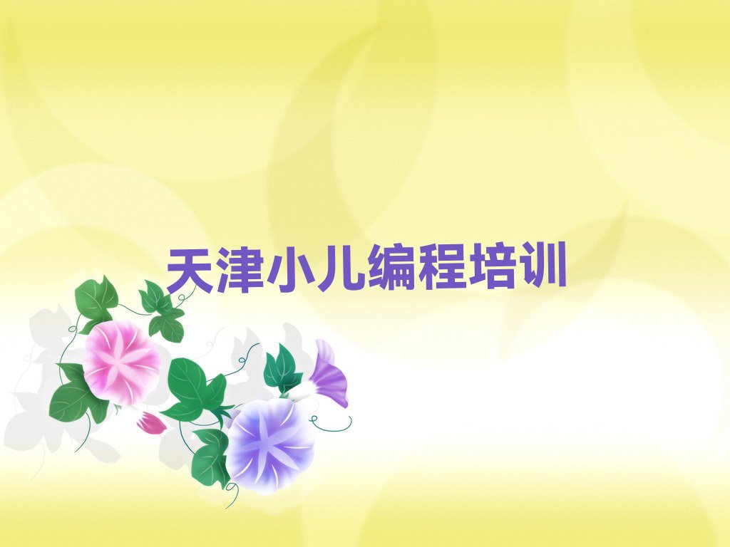 天津少儿编程培训学校
