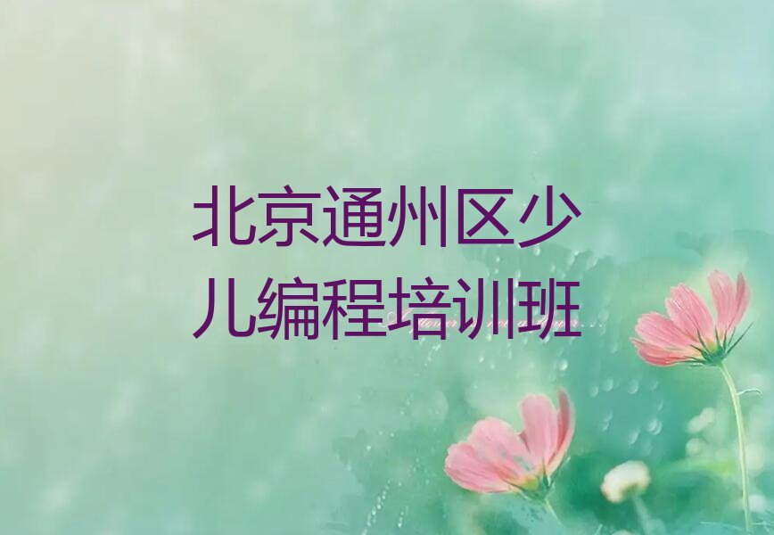 北京通州区少儿编程培训班