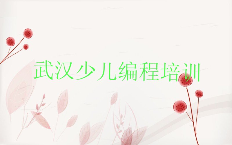 武汉青山区少儿编程培训中心