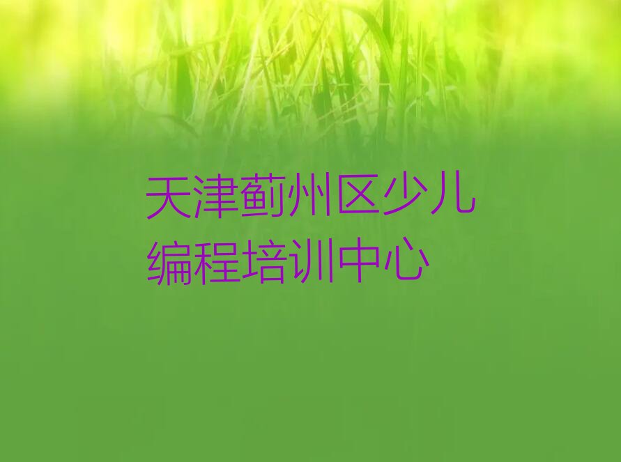 天津蓟州区少儿编程培训中心